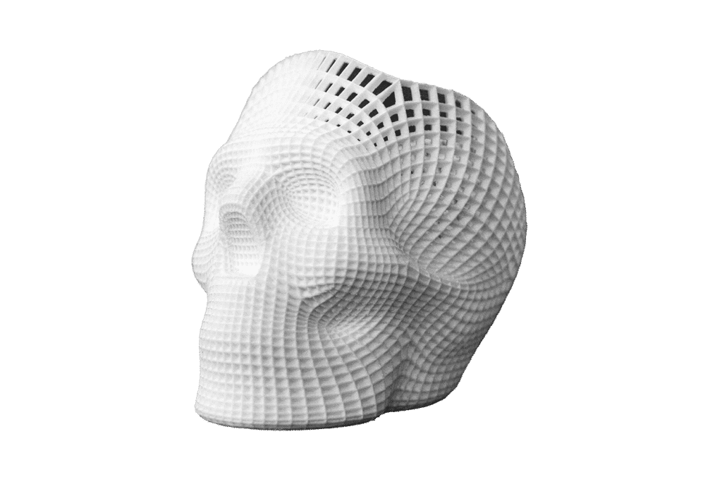 White 3D printed skull